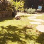 Jenna Laurenzo Instagram - Leave it to @onsetwithmichellebeck to lead me into a magical garden, greeted by a tortoise 🐢 ❤️✨
