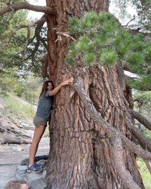 Jennifer Taylor Instagram - Hugs trees