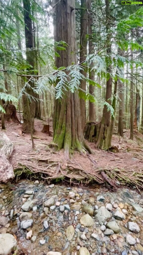 Jennifer Beals Instagram - “So this is how you swim inward. So this is how you flow outwards. So this is how you pray.” Mary Oliver #nature