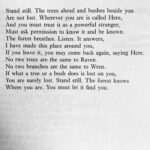 Jennifer Beals Instagram - You know where I’m headed today. Lost by David Wagoner repost from secretchords_apoemfortheday
