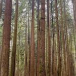 Jennifer Beals Instagram - Sometimes it’s the simplest song that makes my heart sing #nature