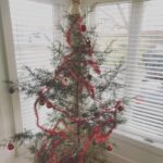 Jennifer Carpenter Instagram - She is so delicate that she blew right out of the pickup truck on her way home. 🤣#merrychristmas #tree All of God’s trees are beautiful 🤘🏻