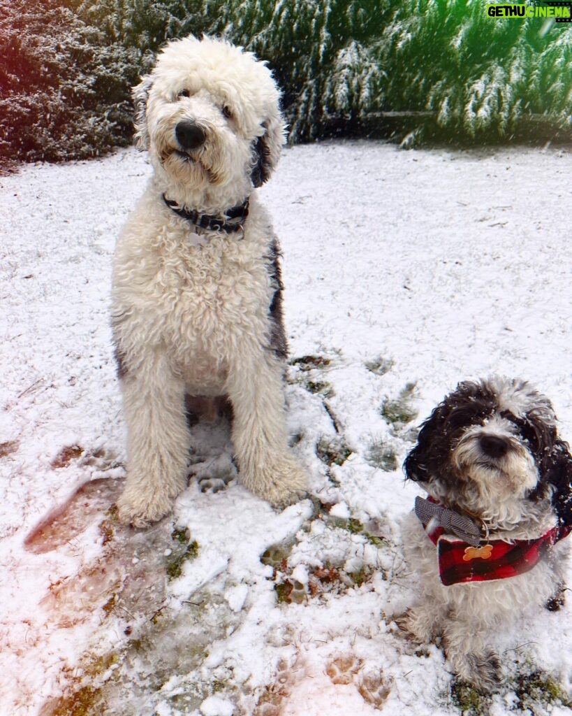 Jennifer Esposito Instagram - All my valentines. I love my boys.