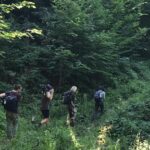 Jennifer Hoffman Instagram - Op zoek naar Europa’s grootste en oudste landzoogdier, op bizon Safari in Roemenië. Ze waren er niet meer. Alleen nog in dierentuinen. Maar dankzij het WeWilder project zijn ze nu weer in het wild te zien. Alleen… we moeten ze dan nog wel even zien te vinden. (Of niet?) #rewilding @we_wilder #letnaturetakeitscourse #livinginharmonywithnature #bisonsareback #tonythetracker @3opreis