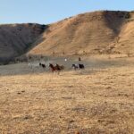 Jennifer Landon Instagram - I recently took a road trip to Valle de Guadalupe and I can’t recommend it enough. I went for the food and wine, but while I was there I was lucky enough to go riding with @bajabyhorse and had one of the most exciting and memorable rides of my life. Her horses are phenomenal! Sometimes friendships are forged in minutes and such is the case with @martyharriman. 🐎💛🤠 P.S. check out her cap. Turns out she’s the biggest #yellowstone #yellowstonetv fan south of the border.