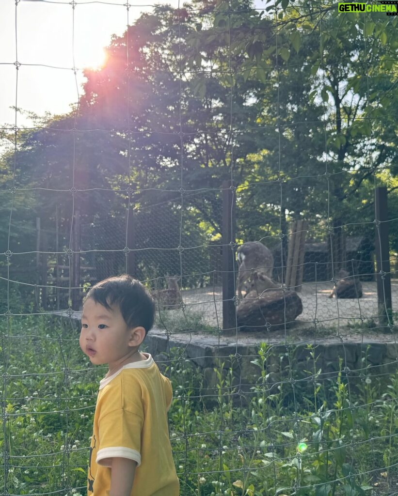 Jeon Hye-bin Instagram - 초록초록한 나날들🌿