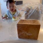 Jeon Hye-bin Instagram – #밀도
갓나온 빵만큼 맛있는건 없어