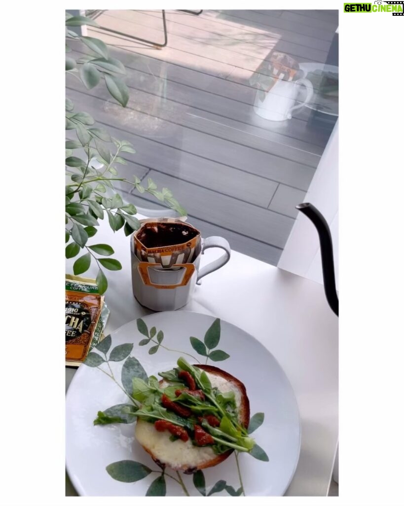 Jeong Hye-young Instagram - ☕️ 혼자 먹는 아침 아직도 드립커피 내리는 실력은 꽝이지만^^ 요 커피는 왜케 맛있나요