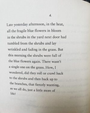 Jessica Brown Findlay Instagram - 6 months

Also just a poem in 4 parts about the urgency of life. To devour it. From the wisdom of a woman who knows what it is to look back and be full of want for more. More of life. 💕#maryoliverpoetry