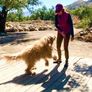 Jessica Collins Instagram - Today is one year since you went over the Rainbow Bridge. We miss you everyday my little one. ❤️🐾 #ILoveLucy 
And for all of you beautiful people who have sent me prayers and love over the past year about my Lucy- I’ve read every single one of your comments. And it has helped me enormously through this most difficult loss. I think whenever we use this platform in this way- to help each other- we use it at its best. Thank you for all your kindness. ❤️