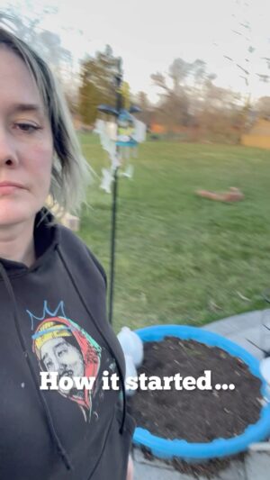 Jessica Cricks Instagram - A few people have called me out for not posting gardening sh#T lately. 

 So here is a pretty little milestone I will post.  I’m proud of my work.  I do something in my backyard every single day.  Rain or shine. 

This is my progress. And I’m just getting started.  #diygarden #raisedbedgarden #DIYGardenBed #selflove #mentalhealthawareness #mentalhealth #Fruittrees #tomatoes #watchmygardengrow