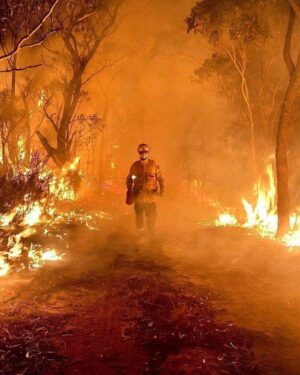 Jessica De Gouw Instagram - This is Australia, my home country. This is our present, and it is our future. 
@scottmorrisonmp your inaction and climate denial is unforgivable. Take note of your legacy. 
The Australian public are screaming for leadership, for the climate emergency to be acknowledged, for immediate action.
Taking a holiday to Hawaii has caused more than ‘offense’, it is costing lives.
Do. Something. Not words. Actions.

How we can help

To donate to the Rural Fire Service
rfs.nsw.gov.au

Australian Red Cross 
redcross.org.au

Port Macquarie Koala Hospital
GoFundMe