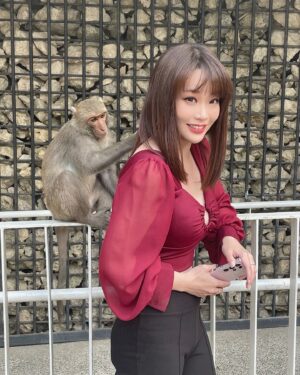 Jessica Lin Instagram - 我是不是有點白雪公主體質🤣

去完壽山意猶未盡，跑去柴山看猴猴，靠在欄杆旁邊的時候，竟然感受到一隻毛毛手在抓我的背，太可愛了啦🦧

高雄的人事物都很美好，沿路還被熱情的高雄人提醒獼猴會搶包包，才知道要把手機、小包包都藏在大包包裡，安全結束了小旅行

🦍🦍🦍本週播報時間不一樣🦍🦍🦍
東森財經57台：
3/19 (日) 1800晚報、1900晚報

#猴 #猴子 #獼猴 #景點 #高雄景點 #高雄 #柴山 #壽山 #大自然 #kaohsiung #taiwan #love #🙈 #🙉 #🙊 #🐵 #🐒 #🤎
