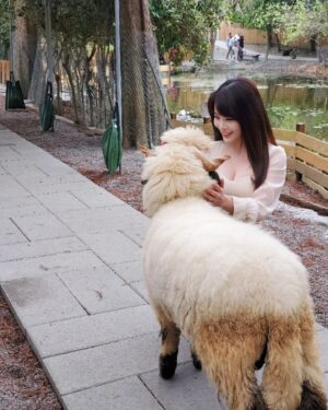 Jessica Lin Instagram - 如果有一天我離開新聞業
那應該是跑去動物園或農場上班了😆

明天有我耶
4/27(六) 1100、1400
壹電視49台見