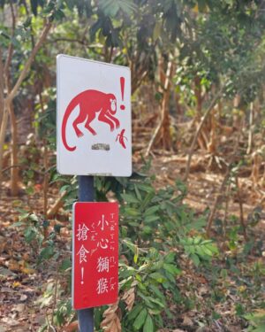 Jessica Lin Instagram - 我是不是有點白雪公主體質🤣

去完壽山意猶未盡，跑去柴山看猴猴，靠在欄杆旁邊的時候，竟然感受到一隻毛毛手在抓我的背，太可愛了啦🦧

高雄的人事物都很美好，沿路還被熱情的高雄人提醒獼猴會搶包包，才知道要把手機、小包包都藏在大包包裡，安全結束了小旅行

🦍🦍🦍本週播報時間不一樣🦍🦍🦍
東森財經57台：
3/19 (日) 1800晚報、1900晚報

#猴 #猴子 #獼猴 #景點 #高雄景點 #高雄 #柴山 #壽山 #大自然 #kaohsiung #taiwan #love #🙈 #🙉 #🙊 #🐵 #🐒 #🤎