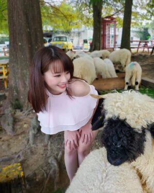 Jessica Lin Instagram - 看到笑笑羊🐏眼睛跟著消失的之😆

休假拉著爸媽去了桃園大溪的富田花園農場，被10幾隻笑笑羊包圍，太幸福了☺這邊其實是開了20年的老農場，裝置藝術都舊舊的了，但是每種小動物都有自己的一大片草地可以跑跑，覺得照顧的很好～

一起找找笑笑羊的眼睛在哪裡🤣

沒有業配合作，單純太喜歡了所以分享資訊：
平日門票150元
假日門票200元
可以折抵50元買飼料
停車場費用另計50元
#寵物友善 讚讚讚

🐏🐏🐏🐏🐏🐏🐏分隔線🐏🐏🐏🐏🐏🐏🐏

東森財經57台班表：
12/4 (日) 1800晚報、1900晚報
12/6 (二) 1730晚報
12/7 (三) 1730晚報、2030台彩
12/9 (五) 2030台彩

#休假日常 #富田農場 #富田花園農場 #桃園 #桃園景點 #大溪 #大溪景點 #笑笑羊 #瓦萊黑鼻羊 #羊駝 #農場 #親子旅遊 #小動物 #療癒時間 #🐑 #🐏 #🐐 #🥰