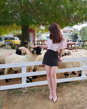 Jessica Lin Instagram - 看到笑笑羊🐏眼睛跟著消失的之😆

休假拉著爸媽去了桃園大溪的富田花園農場，被10幾隻笑笑羊包圍，太幸福了☺這邊其實是開了20年的老農場，裝置藝術都舊舊的了，但是每種小動物都有自己的一大片草地可以跑跑，覺得照顧的很好～

一起找找笑笑羊的眼睛在哪裡🤣

沒有業配合作，單純太喜歡了所以分享資訊：
平日門票150元
假日門票200元
可以折抵50元買飼料
停車場費用另計50元
#寵物友善 讚讚讚

🐏🐏🐏🐏🐏🐏🐏分隔線🐏🐏🐏🐏🐏🐏🐏

東森財經57台班表：
12/4 (日) 1800晚報、1900晚報
12/6 (二) 1730晚報
12/7 (三) 1730晚報、2030台彩
12/9 (五) 2030台彩

#休假日常 #富田農場 #富田花園農場 #桃園 #桃園景點 #大溪 #大溪景點 #笑笑羊 #瓦萊黑鼻羊 #羊駝 #農場 #親子旅遊 #小動物 #療癒時間 #🐑 #🐏 #🐐 #🥰