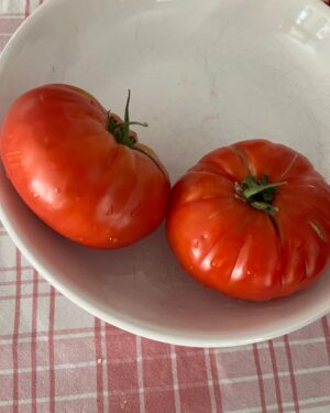 Jessica Sutton Instagram - keeping it Hush by @lisamiller_za 🇿🇦 ⠀⠀⠀⠀⠀⠀⠀⠀⠀ ⠀⠀⠀⠀⠀⠀⠀⠀⠀ ⠀ ⠀⠀⠀⠀⠀⠀⠀⠀⠀ ⠀⠀⠀⠀⠀⠀⠀⠀⠀ ⠀⠀⠀⠀⠀⠀⠀⠀⠀ it’s subtle and sublime ⠀⠀⠀⠀⠀⠀⠀⠀⠀ ⠀⠀⠀⠀⠀⠀⠀⠀⠀ a scent for my soul ⠀⠀⠀⠀⠀⠀⠀⠀⠀ ⠀⠀⠀⠀⠀⠀⠀⠀⠀ ⠀⠀a sliding door ⠀⠀⠀⠀ ⠀⠀⠀⠀⠀ ⠀⠀⠀⠀⠀⠀⠀⠀⠀ sampling very sexy tomatoes, ⠀⠀⠀⠀⠀⠀⠀⠀⠀ twirling in flowy frock,⠀⠀⠀⠀⠀⠀⠀⠀⠀ ⠀⠀⠀⠀⠀⠀⠀⠀⠀ cuddling papa, ⠀⠀⠀⠀⠀⠀⠀⠀⠀ ⠀⠀⠀⠀⠀⠀⠀⠀⠀ dosing on vitamin sea, ⠀⠀⠀⠀⠀⠀⠀⠀⠀ standing awed by ancient feet ⠀⠀⠀⠀⠀⠀⠀⠀⠀ ⠀⠀⠀⠀⠀⠀⠀⠀⠀ ⠀⠀⠀⠀& basking in the glory of friendship ⠀⠀⠀⠀⠀⠀⠀⠀⠀ but hush 🤫