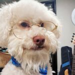 Jessica Betts Instagram - PROFESSOR BETTS @michaeljaebetts #MJ He really grew a beard 🐩🐾🤣👽❤️