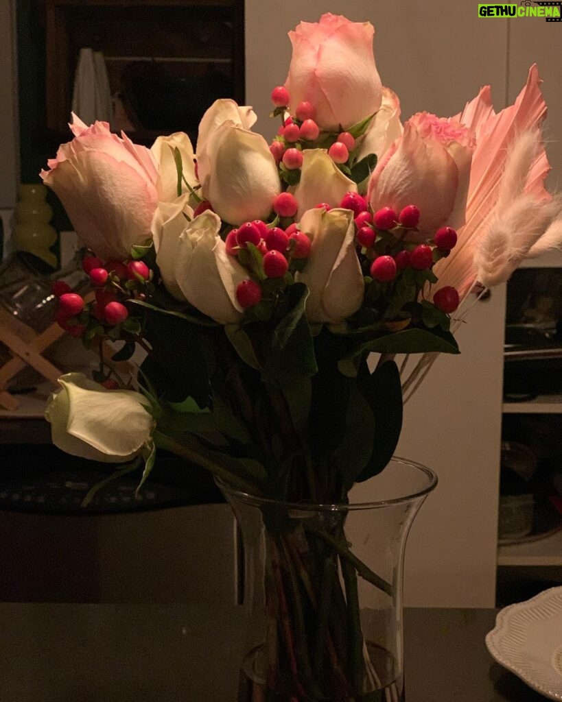 Jessica Harmon Instagram - Thank you to everyone for the wonderful birthday wishes! It’s hard to be away from so many friends and family this time of year and you all made it so special with your love. Stay safe out there!! Thanks to @lennyjacobson for my beautiful flowers! Brightens up a cold winter day!