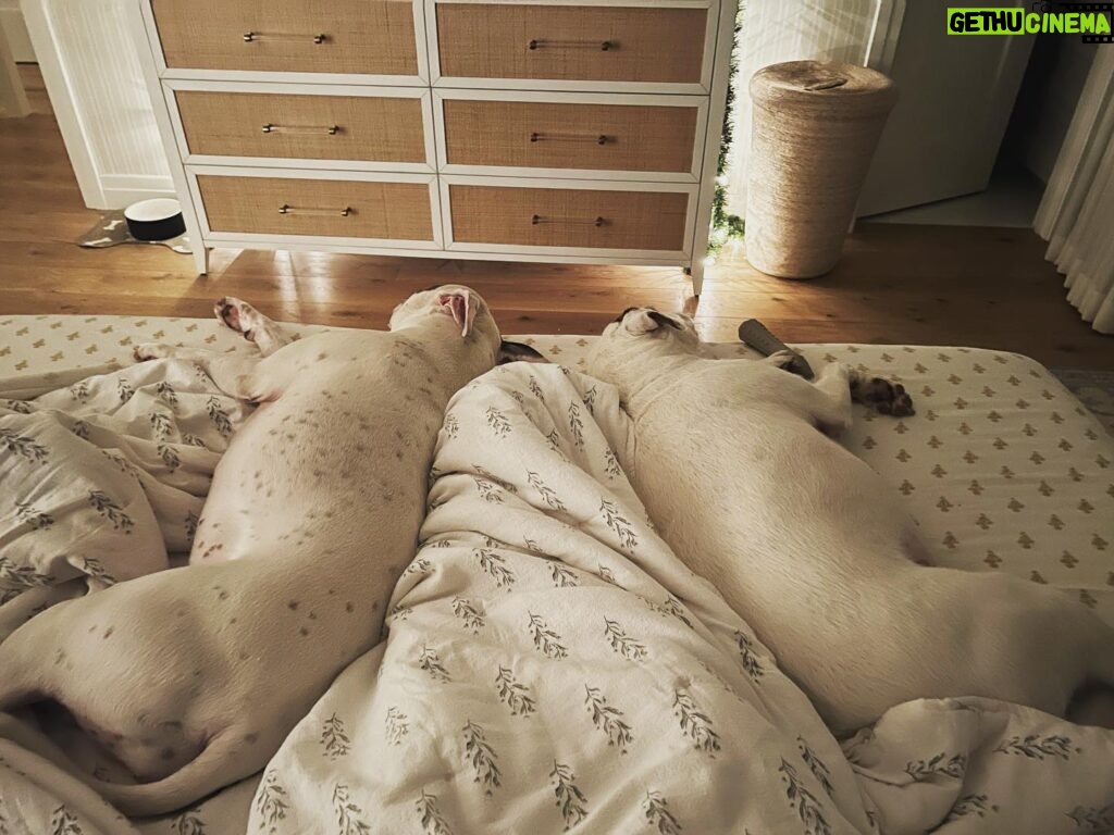 Jessica Parker Kennedy Instagram - It doesn’t seem to matter where in the house Ro is, if I’m on my own, the dogs are with me. I’d like to think I’m their safe space but in reality I think they are 99.9% sure I can’t survive on my own without them. #Flanked #SnoozingSoldiers