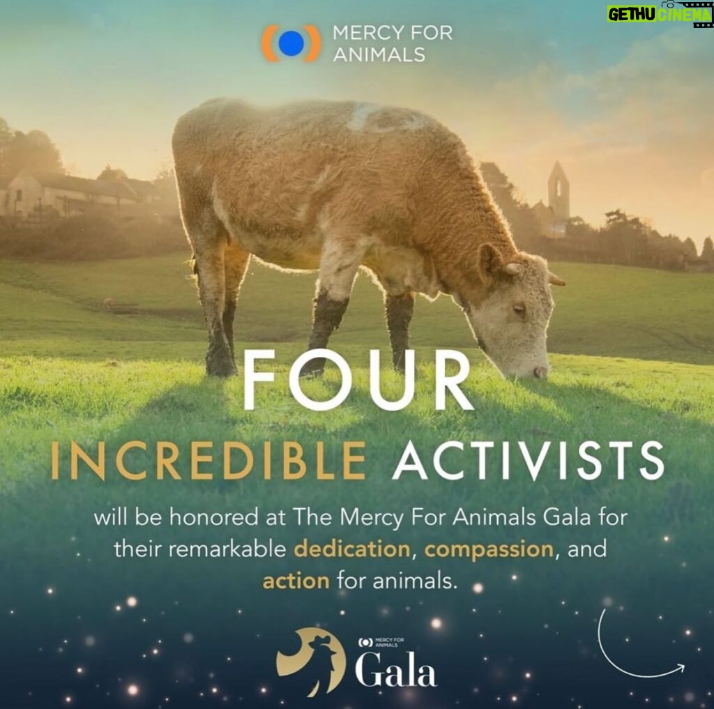 Jessica Parker Kennedy Instagram - JOIN ME TONIGHT at the @MercyForAnimals Gala! 🐮🐷🐥🐟🦃🦞 I’m so honored to be presenting an award at tonight’s ceremony where we recognize dedicated investigators and other devoted activists who have gone above and beyond to help expose the horrors of factory farming and help stop animal cruelty. You can stream the ceremony live! Link in my bio. #MercyForAnimals #MercyForAnimalsGala #ASPCA #JamesCromwell
