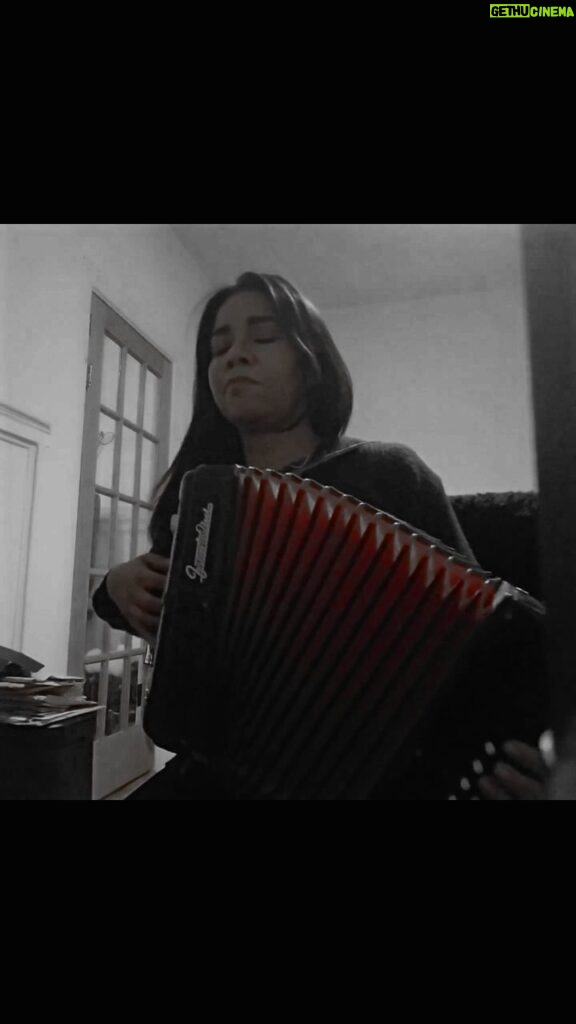 Jessica Pimentel Instagram - This is what happens when you hit the road with #texmexpunk band @pinataprotest and you wanna mariachi but your heart is too black metal still and it's cold outside #accordion #frontalini #jessicapimentelmusic