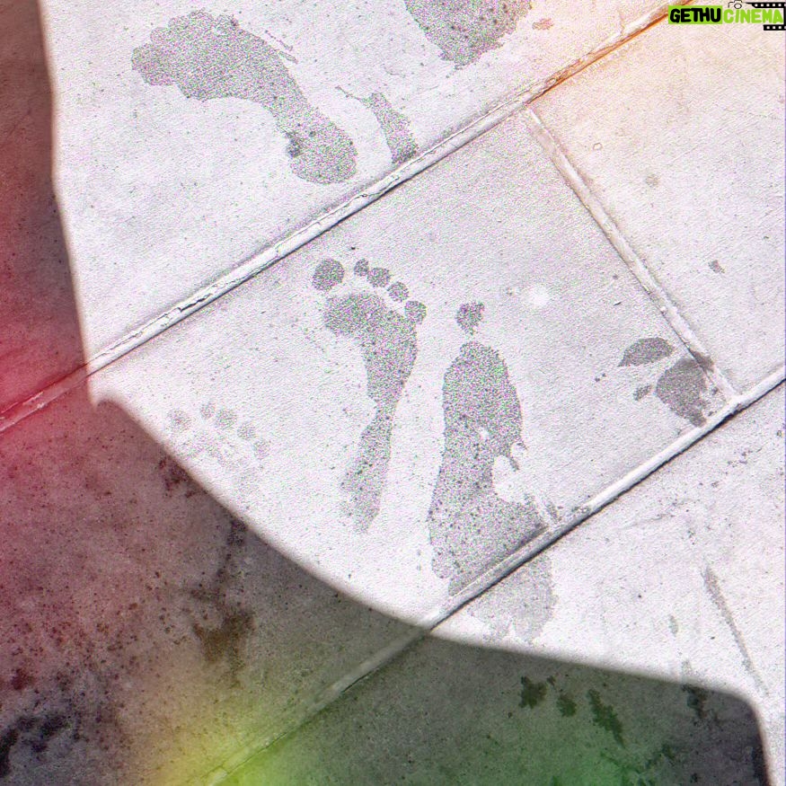 Jessica Pimentel Instagram - Footprints by the pool... I was caught off guard when I saw my wet footprint was actually shaped like a foot, an impression which I havent seen since I was a kid. I don't see my bare, wet footprints outside often, so I don't know how long they've been like this.You see, for most of my life, my footprint looked more like a potato with five dots on top. At the darkest times of my life my footprint looked like a brick. I asked myself, what has changed since then? I wear the same kind of shoes basically and I weigh more than I did ten years ago which you'd assume would make my feet flatter. This made me suspect that perhaps the answer is not physical but metaphysical. Over the years, I've let go of everyone that held me back, put me down, and made me doubt myself. I didn't realize until this moment, how much anger, fear, pain and negativity weighs. Especially when it comes from others. It literally weighs you down and crushes you. I have let go of the dead weight but kept the lessons alive in my heart. Things can change and you can make an effort to change them. Im so greatful to my wonderful partner who constantly demonstrates unconditional love and respect. I'm so thankful to be surrounded by heroes, teachers, peers and students who inspire me constantly, force me to be better, encourage me to fly higher and challenge me to break out of my habitual comfort zone. I'm taking it day by day and step by step towards a future of fulfilling our meaningful dreams together. Whether we walk side by side, in a single file or we need to push, pull and carry each other to our goals, I'm here for you... With feet shaped feet or better from now on. You know who you are. 👣🧱🏋🏽‍♀️ 🙏🏽🦇🧿🎶🎬 💎💃🏽🎭📖