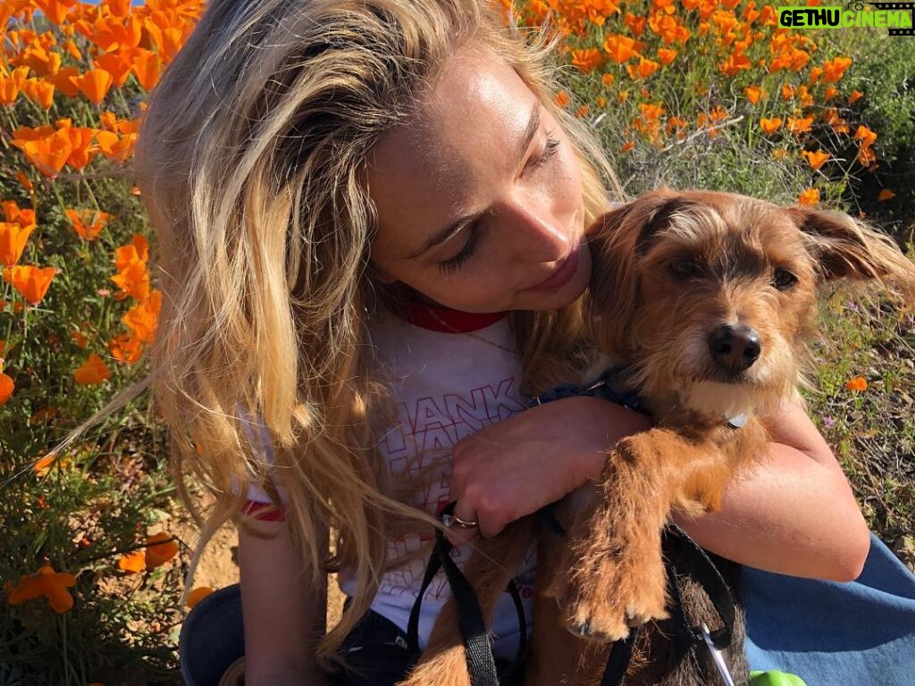Jessica Rothe Instagram - SUPER BLOOM 🌼🌼🌼 Truly one of the most amazing things I have ever seen. Thank you thank you thank you @alimerlina and @allieveneris (and of course Harvey and Otis 🐶 ) for helping me finally check this off the bucket list. (P.S. No poppies were harmed in the taking of these photos ❤️. If you decide to celebrate the superbloom (which I HIGHLY recommend) just be sure to help protect the flowers and the bloom for years to come by staying on the trails 😘) #superbloom2019 #bucketlist #californiapoppies #nofilter