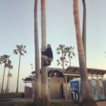 Jessica Stroup Instagram - When you can’t hug a friend... I guess a tree will do? Update: that is not me. I am not that agile but thanks for thinking I was.