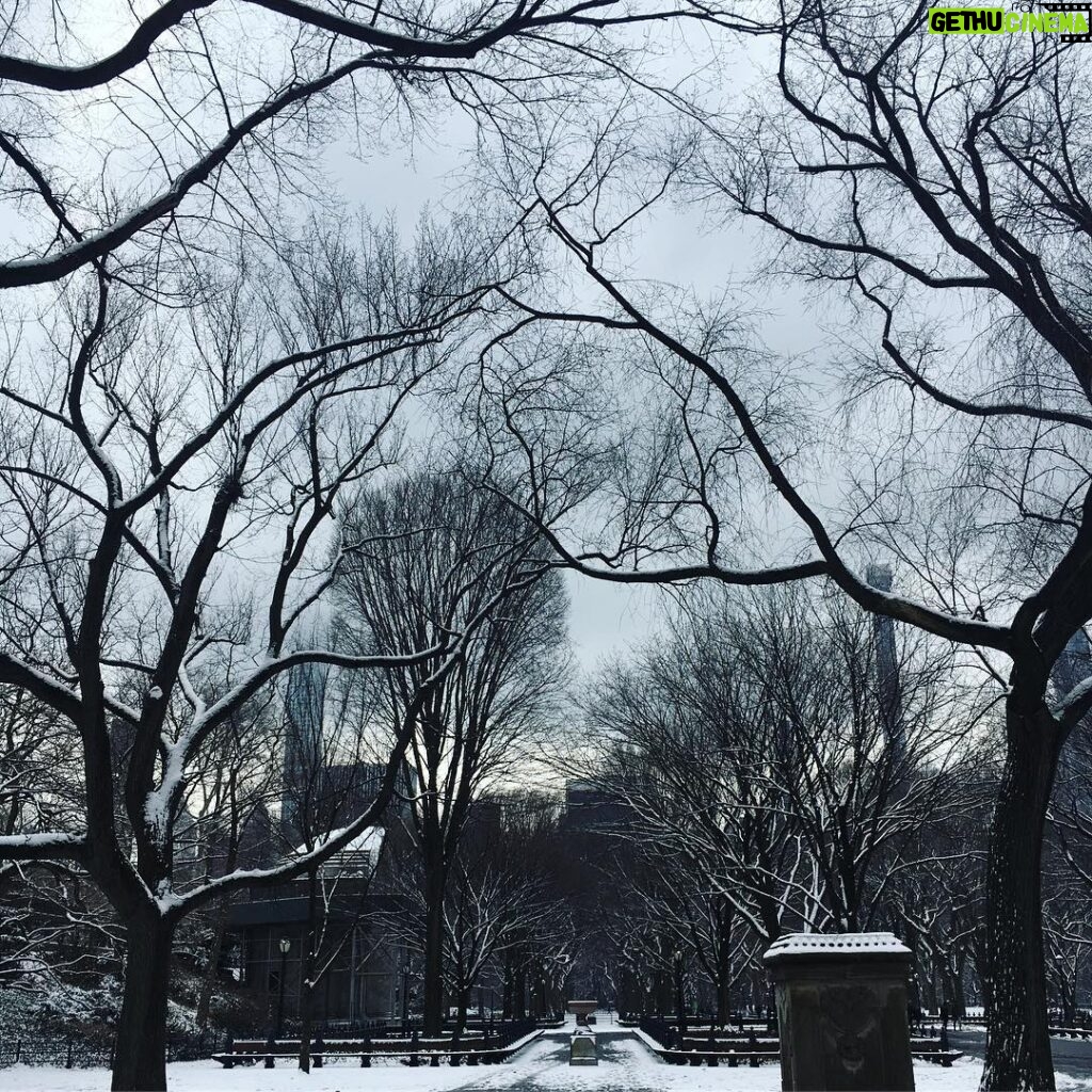 Jessica Watson Instagram - A little dusting of snow making a morning walk through New York’s Central Park extra special 👌❄️⛄️🥶