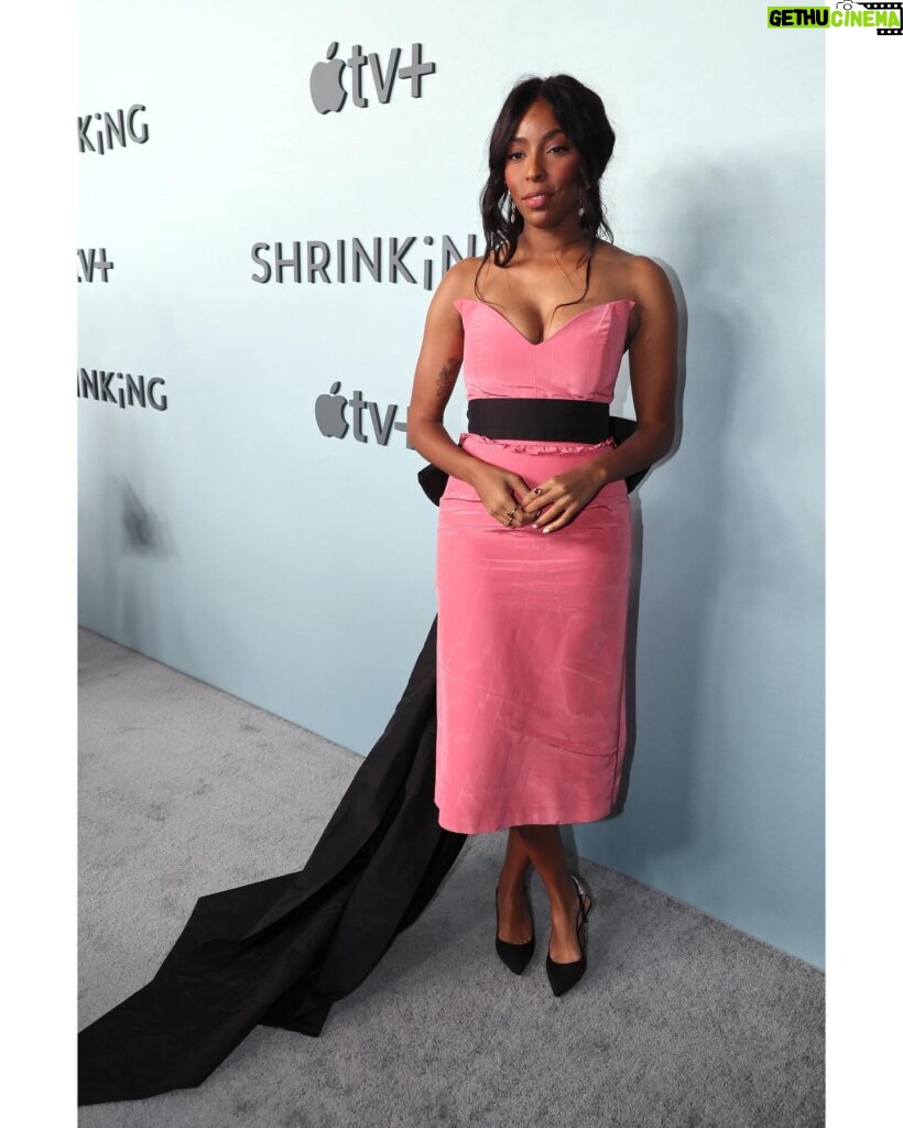 Jessica Williams Instagram - Finally recovered from my hangover so here are some photos from the other night at the SHRINKING premiere! love this cast so much! They aight!!! Catch us all on @appletvplus THANK YOU GLAM FAM! Dress// @markarian_nyc Jewels// @mondomondo Shoes// Aquazurra Styling// @sarahslutsky Makeup// @cherishbrookehill Hair// @alexander_armand Brows// @rashellbeauty