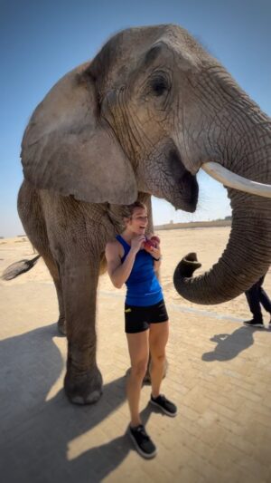 Jessie Graff Instagram - Thank you so much to @nas_sc for this once-in-a-lifetime experience to share apples with beautiful brilliant elephants! 
#naswildlife #elephants #sharingiscaring