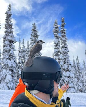 Jessika Dénommée Instagram - 30 ans for my love❤️😬 
Je lui ai donc organisé un petit séjour surprise de 4 jours à Whistler ❤️