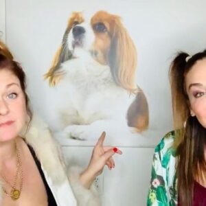 Jill-Michele Meleán Instagram - These 2 dog groomers from Miami have arrived in Reseda because of covid. And now #mrjack is speaking from the #afterlife.  Follow & share for this pups Words Of Wisdom @themrjackshow 

*
*
*
*
*
*
*
*
*
#dogsofinstagram #doggroomers #afterlife #miami #losangeles #kingcharles #dogsofcomedy #wordsof wisdom #psychic #dogs #comedy #jenicabergere #jillmichelemelean #jillyonline #mrjackshow #truejackson #wisdom #channeling #thebeyond #psychicreading #psychicmedium