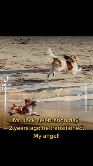 Jill-Michele Meleán Instagram - Forever grateful 🥰 #mrjack #themrjackshow #celebrationoflife