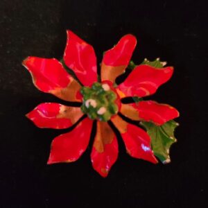 Jill Wine-Banks Instagram - #JillsPins say happy holidays frim ne and Brisbie and hope you'll join me on @aliciamenendezxo at 5 CT/6 ET on #MSNBC.