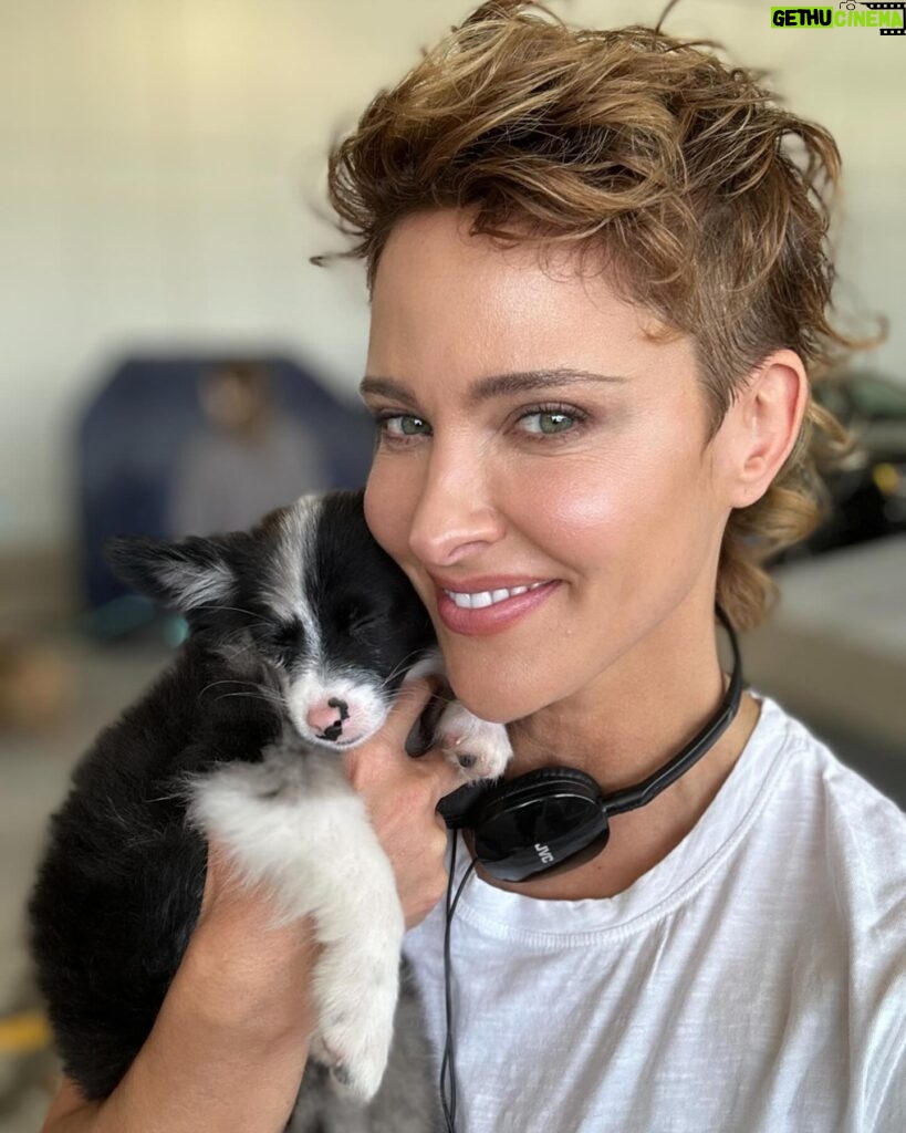 Jill Wagner Instagram - On set falling in love with these little guys from @savinghoperescue !