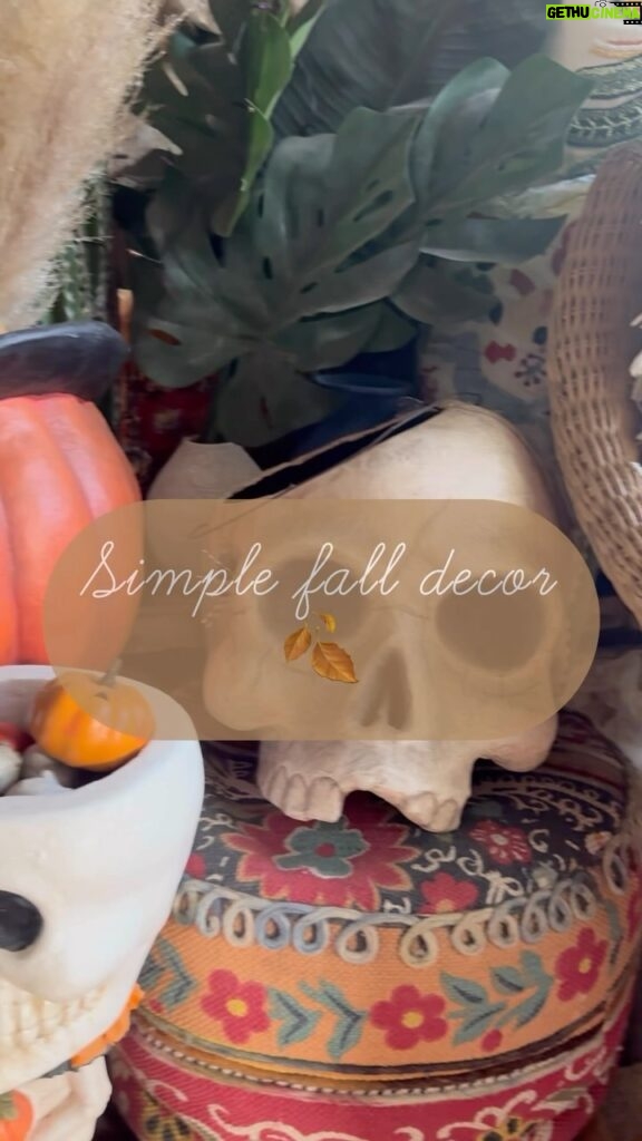 Jillian Rose Reed Instagram - I’m always a little sad when the Halloween decorations come down, so I gave my house a little fall upgrade before we bring out the Christmas boxes in a few weeks! 🍂☕️I love decorating early, but I can’t do Christmas until the week of Thanksgiving at least, so I ordered some easy and inexpensive home decor items from @amazonhome to keep our home festive as we move into the holiday season 🧡the simple strand of twinkle light leaves keep the area glowy and calm, a few little accents like a pumpkin pillow & some new kitchen towels can totally reinvent a space ✨happy cozy snz, babes 🧡