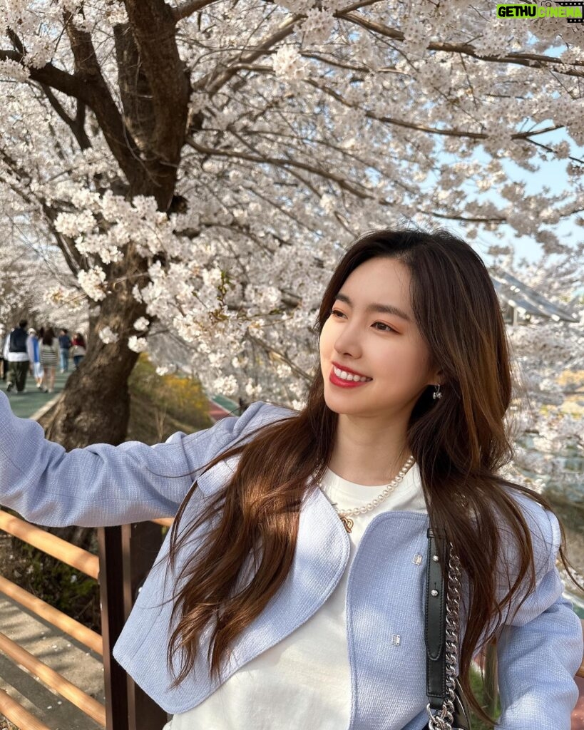 Jin Se-yeon Instagram - 🌸🌸🌸