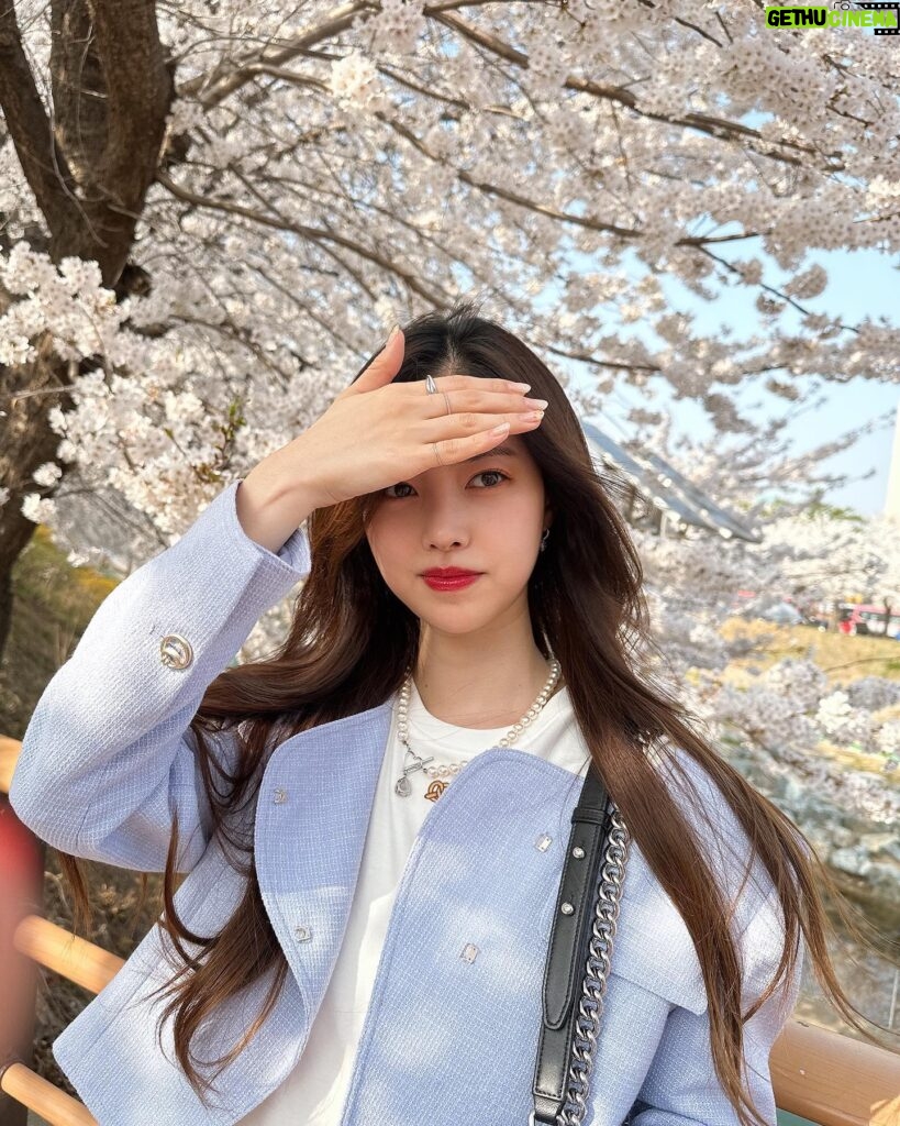 Jin Se-yeon Instagram - 🌸🌸🌸