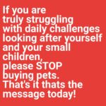 Jo Frost Instagram - Between the hamster,birds,puppies,snake,kittens, chickens and everything else please stop rescuing. Save yourself FIRST, focus on your children, learn to say No. Children need to learn responsibility be consistent with tasks FIRST. Stop romanticizing after seeing a cute elephant on tik tok! Parents you are already energized out, stop loading your plate. Animals require much energy love and care. Hold off until you see such proof to consider. Jo x #Helpingfamiliesshine💫