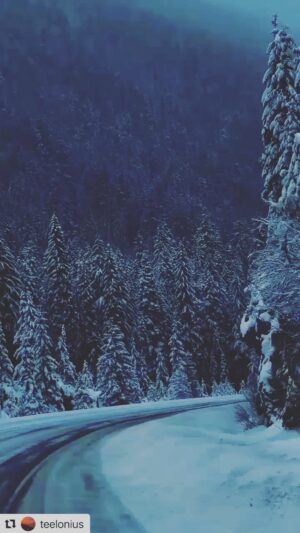 Joana Benedek Instagram - “Cuando es “tiempo de invierno” o cuando pasas momentos confusos, en tu mente y en tu estado de ánimo, el alma necesita recordar el porqué de su encarnación, en este plano terrenal. 
Escúchala y nunca dudes en seguir creando las condiciones, que ella necesita, para realizarse…
Es para lo único que ella reencarnó! 
No te rindas nunca! 
Y cuando dudas, no HAGAS NADA… sólo enfócate en SER!
Recordarás tu propósito, con toda seguridad y encontrarás esa meta clara, de tu alma!”

La decisión siempre nos pertenece. 
#Joana♥️

#RefexionesDeMiAlma2022🌟

#BendicionesParaNuestroBelloPlanetaAzul🌎