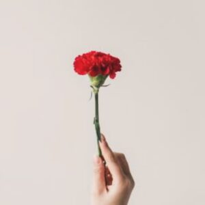 Joana Solnado Instagram - Feliz Dia da Liberdade! 
No momento político e social que vivemos, relembrar a importância da democracia, da liberdade, da história, talvez nunca tenha sido tão urgente desde
o 25 de Abril de há 50 anos. 
Infelizmente a democracia vê-se ameaçada e frágil, volta a estar em causa, voltamos sentir medo. 
Mas também espírito de luta.

É mais importante que nunca o diálogo, a não polarização das opiniões e a posicionamento claro dos valores e princípios sociais e políticos dos quais nos regemos. 
Na rua, em casa, na escola, no café, na vida, em tudo. 

Hoje é dia de rua.
50 anos de Liberdade, e eles continuarão a não passar.

25 de Abril Sempre!!! 

#25deabrilsempre #25deabril