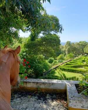 Joana Solnado Instagram - A sorte de poder chamar a este lugar casa. 

 #naturezanaoprecisadefiltro #casamagica #sintra