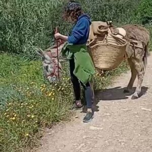 Joana de Verona Instagram - Dizem que é dia internacional do Burro.
Este é o Emil.
Eles são lindos e fazem-nos muy bem! 🐌🦒🐎