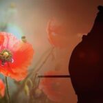 Joanne Froggatt Instagram - #lestweforget🌹