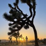 Joanne Froggatt Instagram - A little while ago…Joshua Tree❤️ #tbt