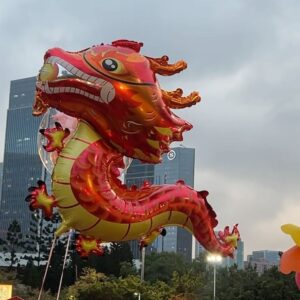 Joanne Peh Instagram - 好久都没回广州过年了，今年逛花市又感受到浓浓的过年气氛。 祝大家阖家团圆，平安喜乐。 ♥️