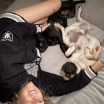 Joanne Wood Instagram - Home is where the pugs are! ❤️❤️❤️ #weegooseandraiderwood #weegoosewood #weeraiderwood #maverickandgoose #maverickgooseraider #toppug #pug #pugs #pugsofinstagram #puglove #handsomepug #puglife #pugnation #pugoftheday #bestbros #mountainpug